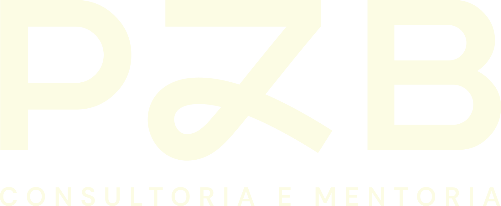 PZB — Consultoria e Mentoria